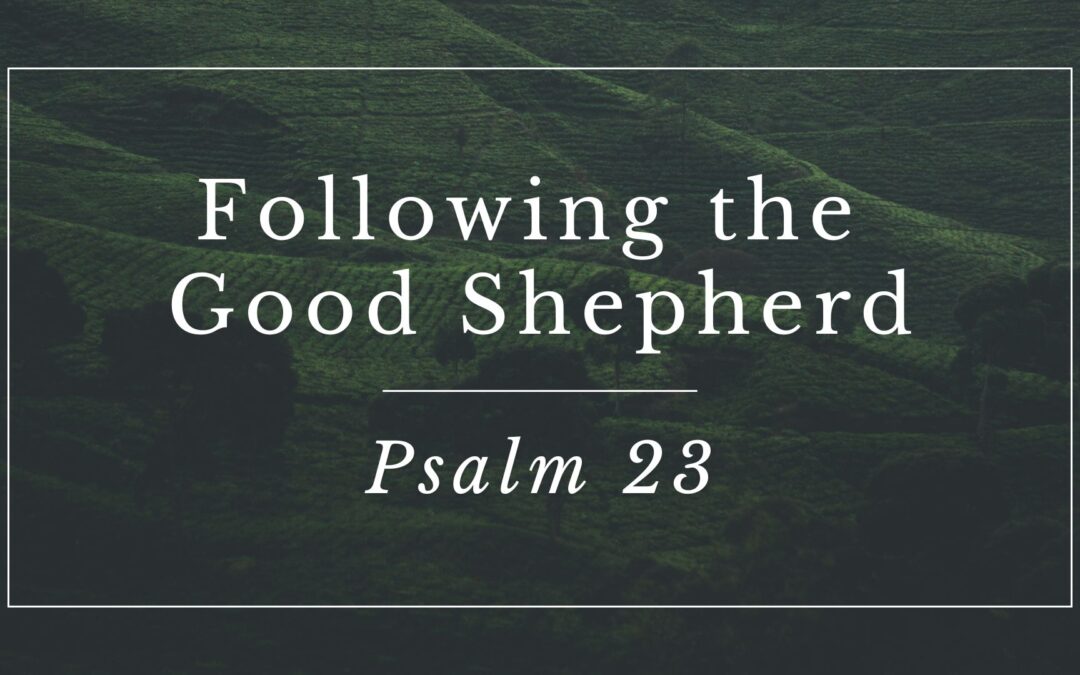 Psalm 23:6: Dwelling in the House of the Lord
